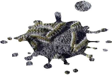 Tratamiento plaga orugas